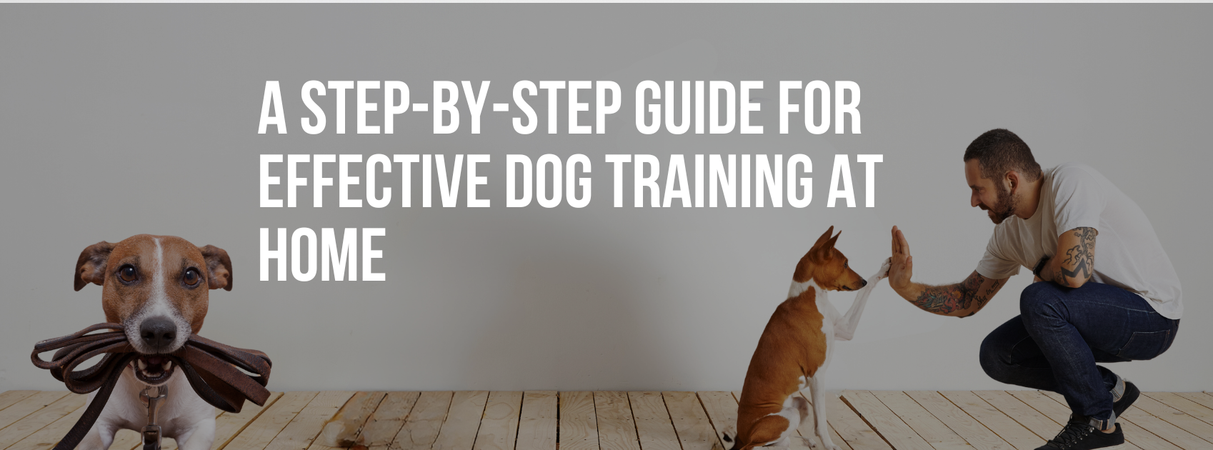 A Step-By-Step Guide for Effective Dog Training At Home