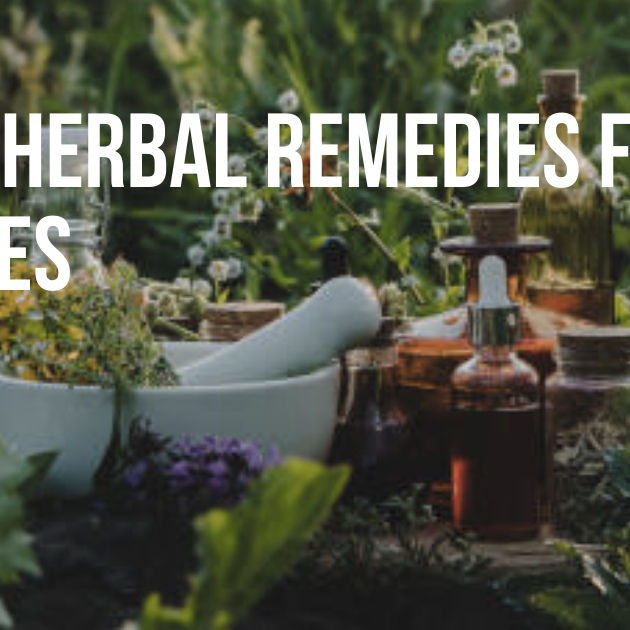 Best Herbal Remedies for Horses