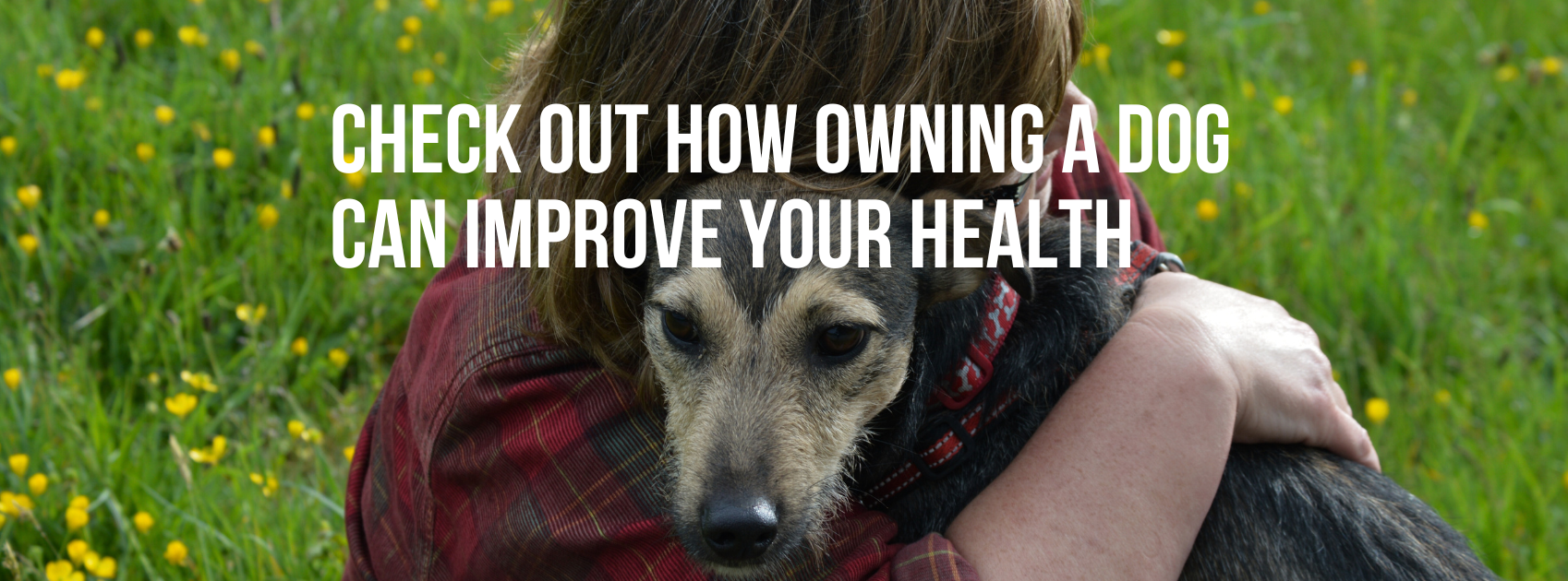 CHECK OUT HOW OWNING A DOG CAN IMPROVE YOUR HEALTH