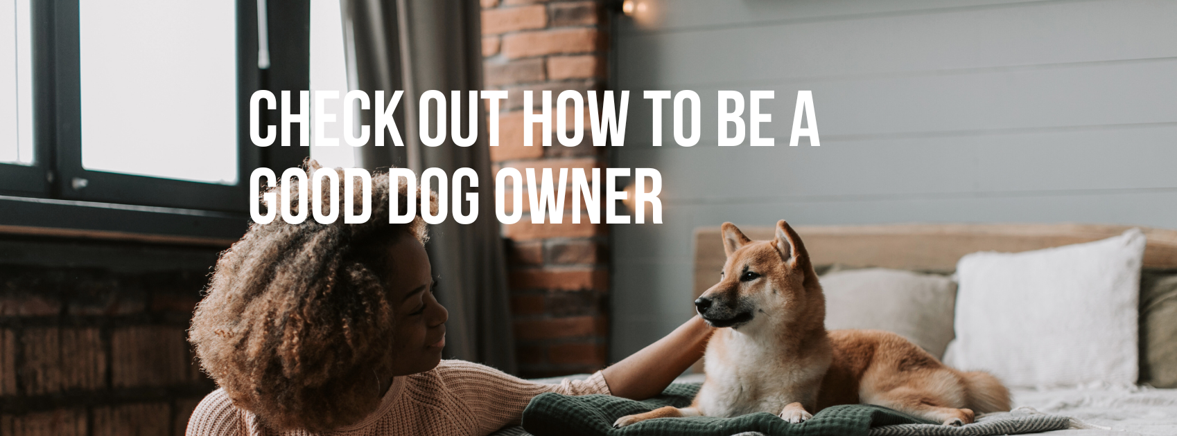 CHECK OUT HOW TO BE A GOOD DOG OWNER