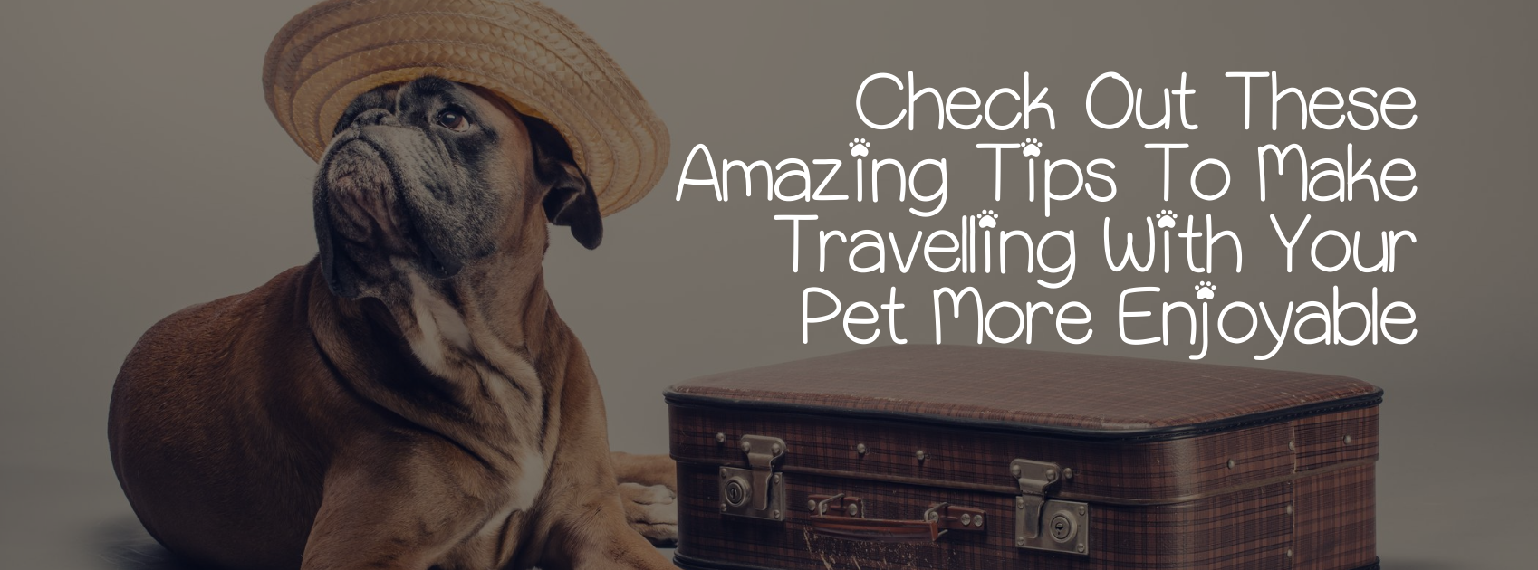 CHECK OUT THESE AMAZING TIPS TO MAKE TRAVELLING WITH YOUR PET MORE ENJOYABLE