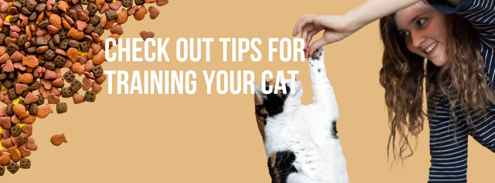 Check Out Tips For Training Your Cat