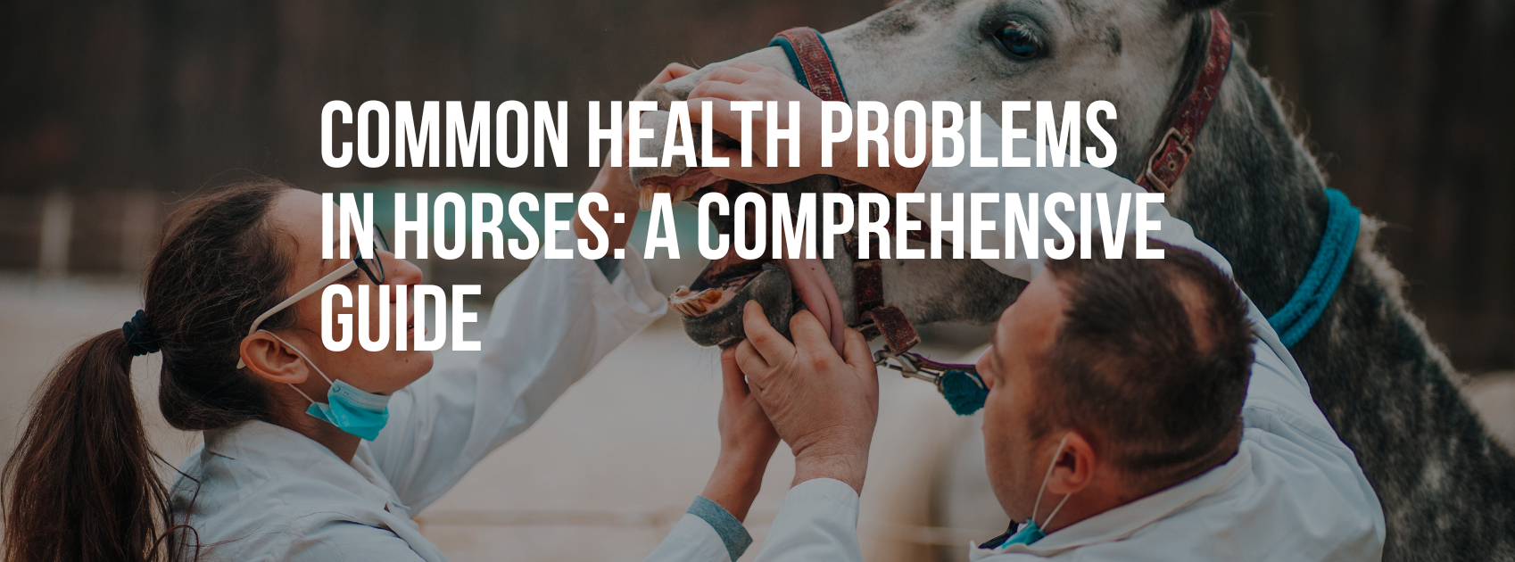 Common Health Problems in Horses: A Comprehensive Guide