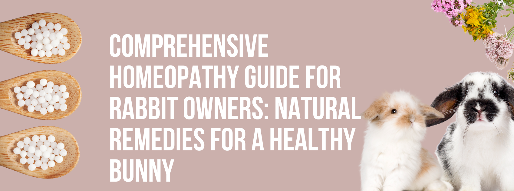 Comprehensive Homeopathy Guide for Rabbit Owners: Natural Remedies for a Healthy Bunny