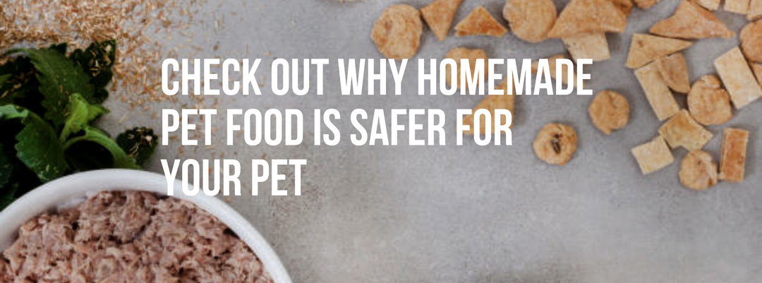 CHECK OUT WHY HOMEMADE PET FOOD IS SAFER FOR YOUR PET