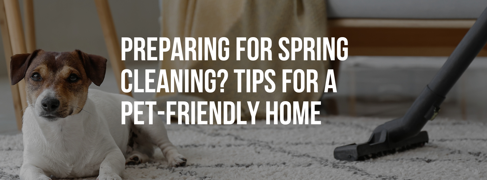 Preparing for Spring Cleaning? Tips for a Safe, Pet-Friendly Home