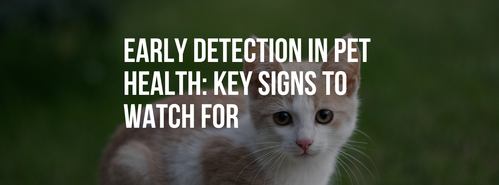 The Importance of Early Detection in Pet Health: Key Signs to Watch For
