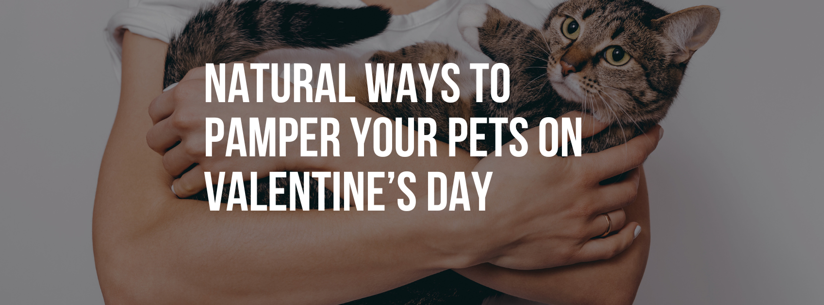 Natural Ways to Pamper Your Pets on Valentine’s Day