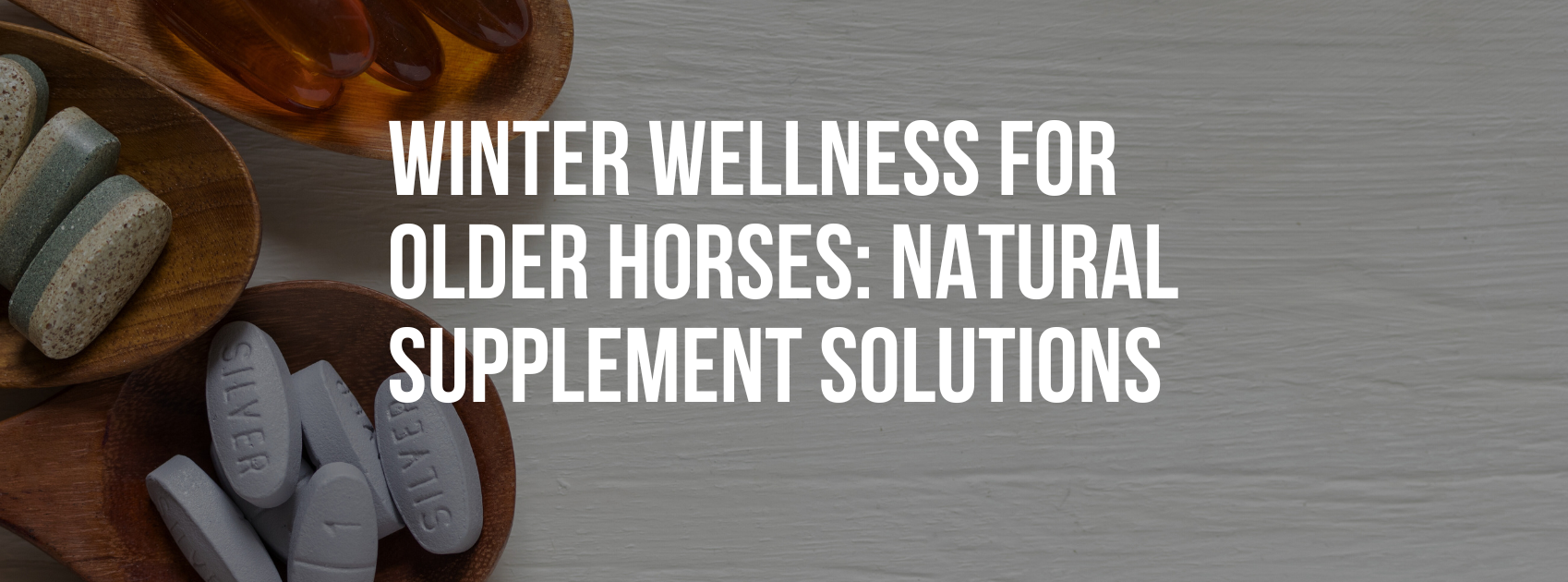 Winter Wellness for Older Horses: Natural Supplement Solutions
