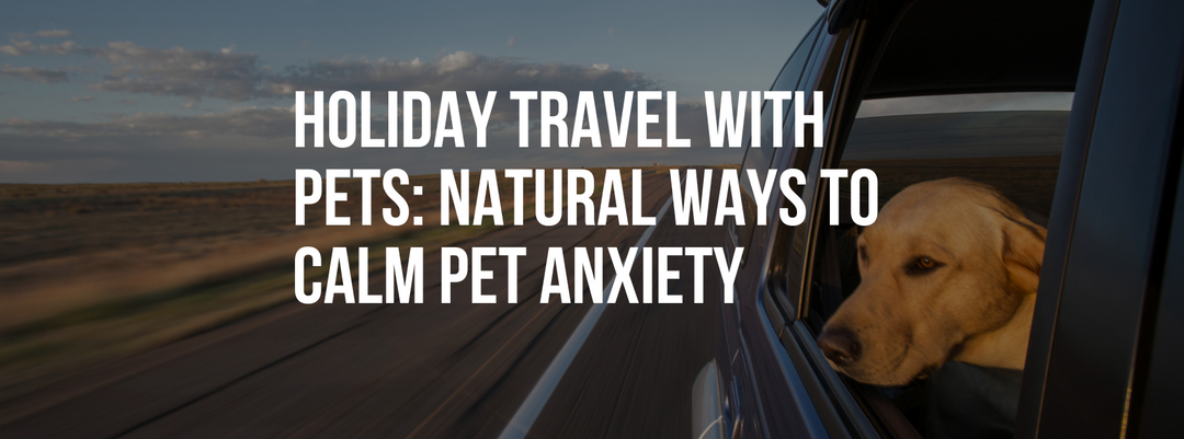 Holiday Travel with Pets: Natural Ways to Calm Pet Anxiety