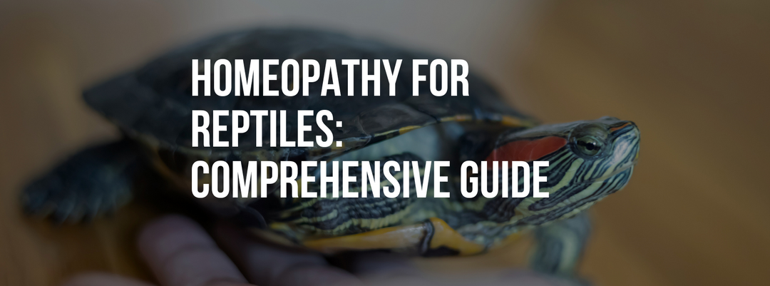 Homeopathy for Reptiles: A Comprehensive Guide to Natural Healing