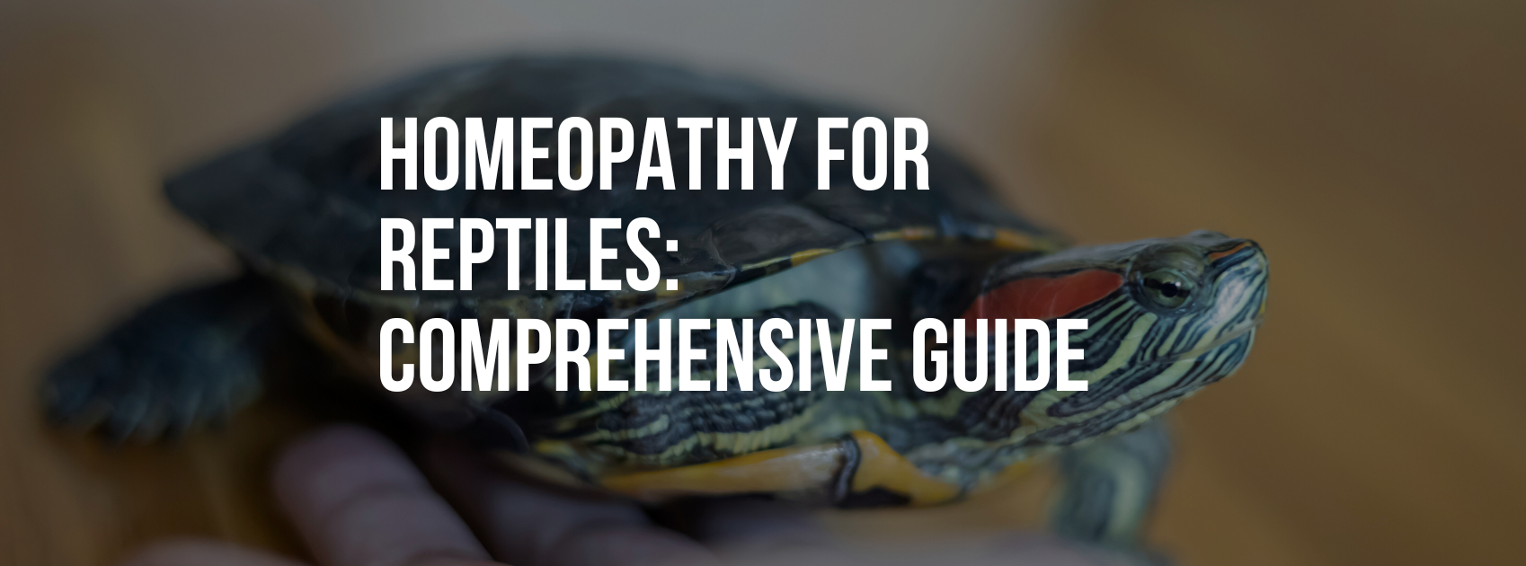 Homeopathy for Reptiles: A Comprehensive Guide to Natural Healing