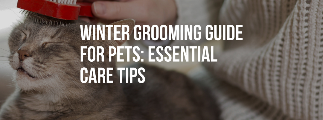 Winter Grooming Guide for Pets: Essential Care Tips