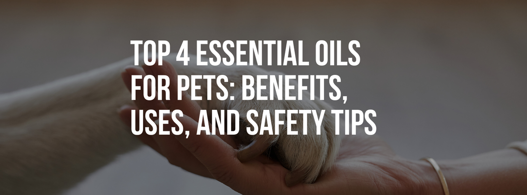Top 4 Essential Oils for Pets: Benefits, Uses, and Safety Tips