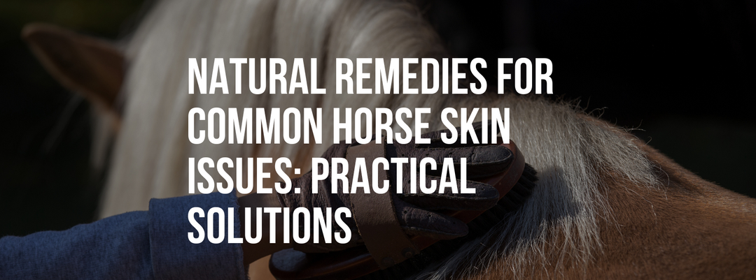 Natural Remedies for Common Horse Skin Issues: Practical Solutions