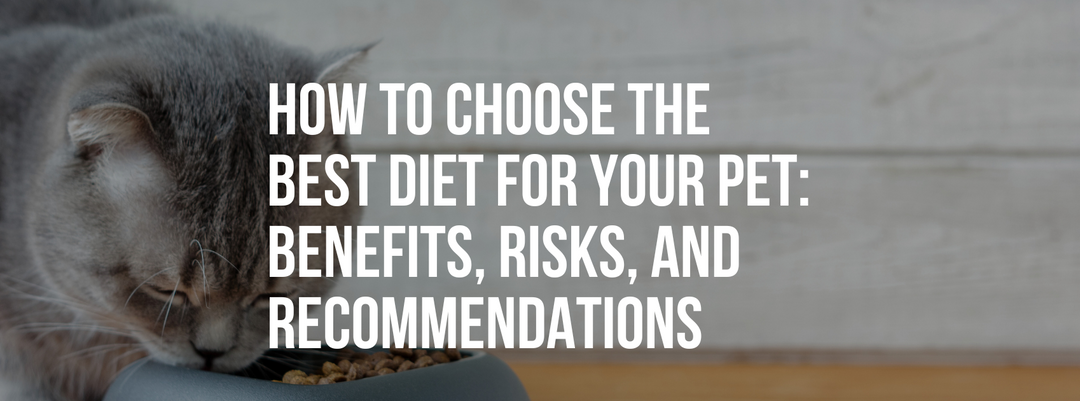 How to Choose the Best Diet for Your Pet: Benefits, Risks, and Recommendations