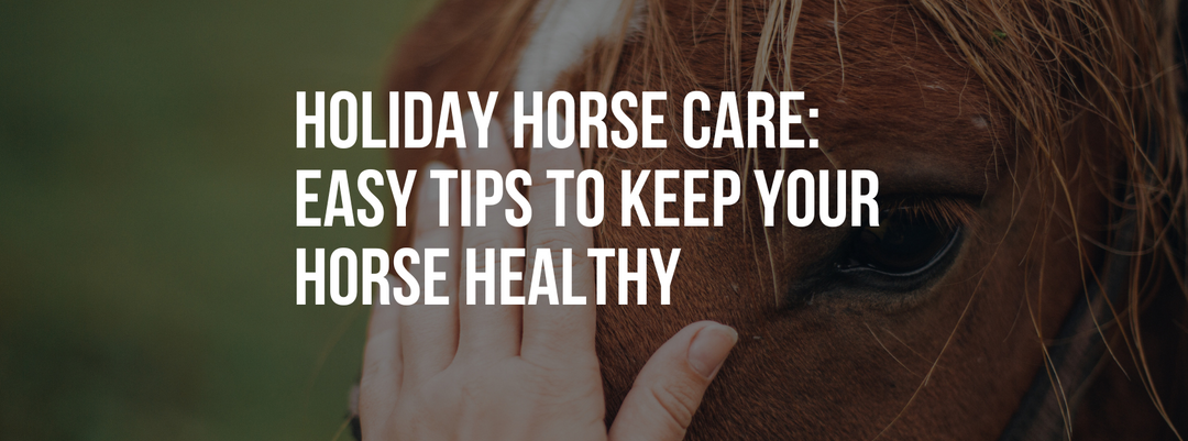 Holiday Horse Care: Easy Tips to Keep Your Horse Happy and Healthy