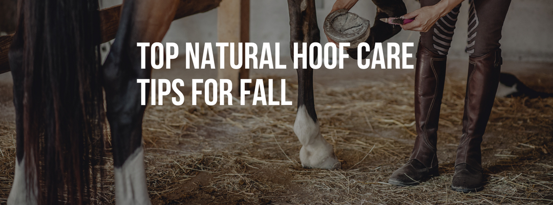 Top Natural Hoof Care Tips for this Fall