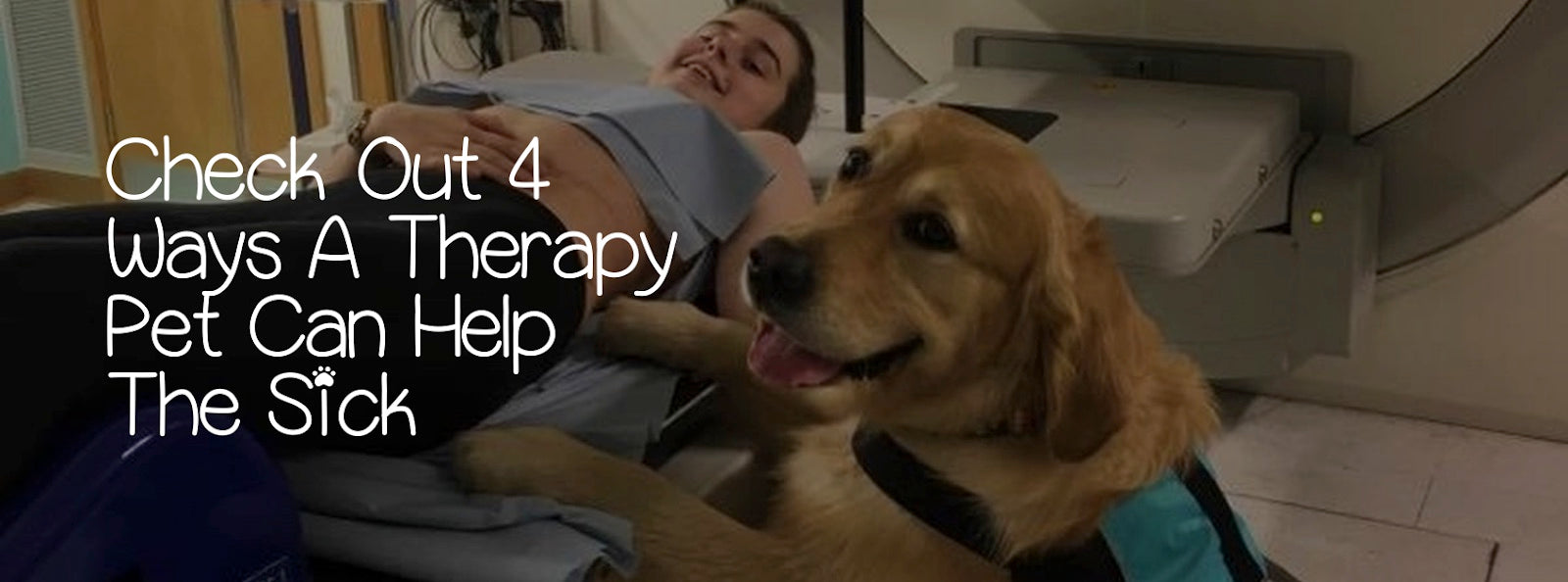 CHECK OUT 4 WAYS A THERAPY PET CAN HELP THE SICK