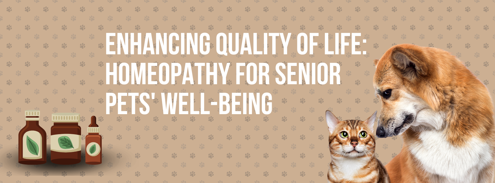 Enhancing Quality of Life: Homeopathy for Senior Pets' Well-being