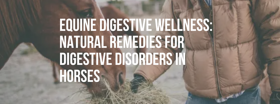 Equine Digestive Wellness: Natural Remedies for Digestive Disorders in Horses