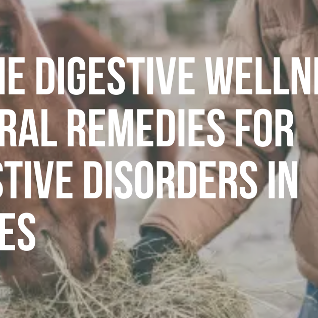 Equine Digestive Wellness: Natural Remedies for Digestive Disorders in Horses