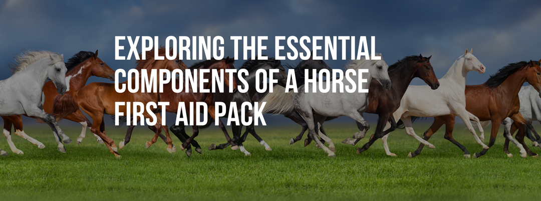 Exploring the Essential Components of a Horse First Aid Pack
