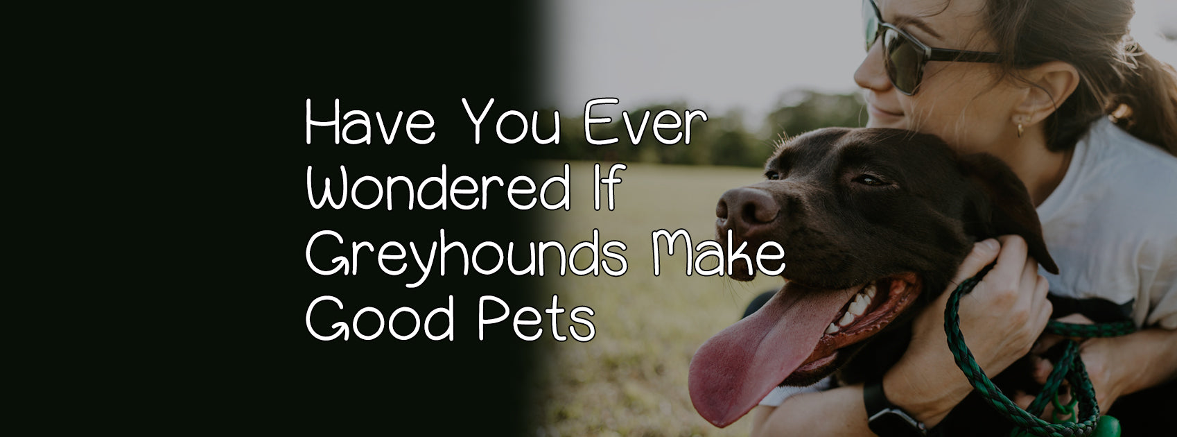 HAVE YOU EVER WONDERED IF GREYHOUNDS MAKE GOOD PETS?