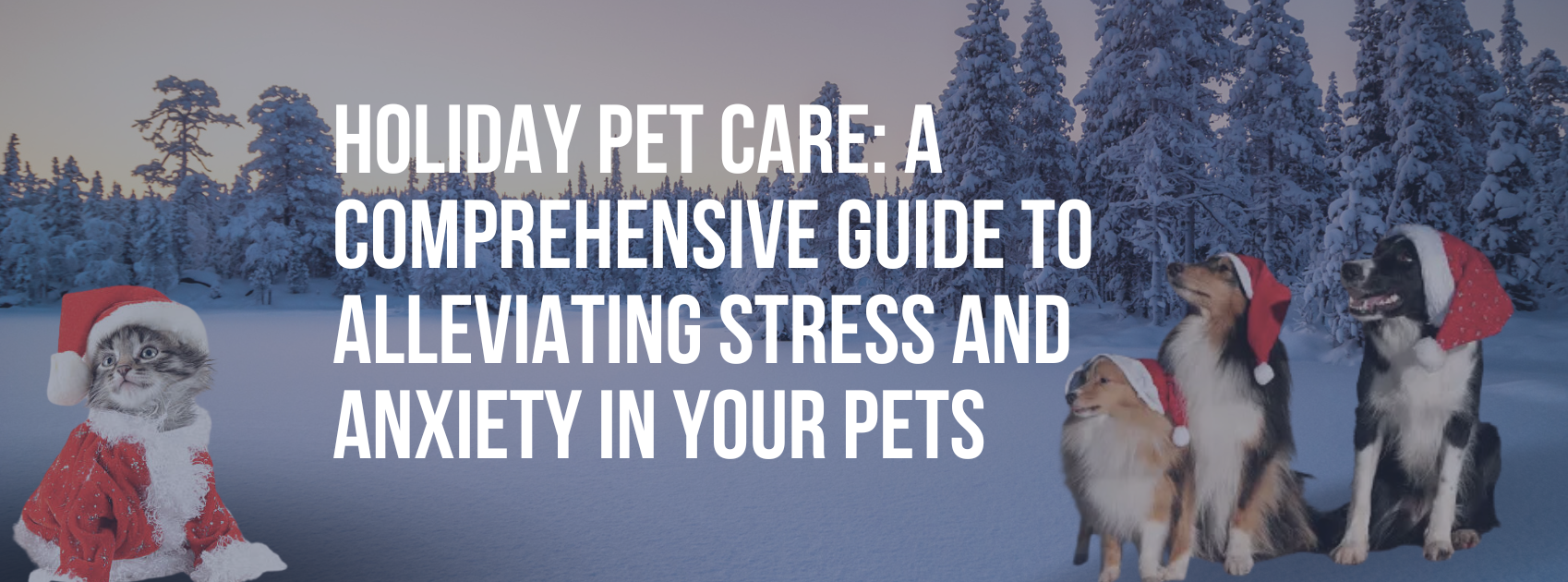 Holiday Pet Care: A Comprehensive Guide to Alleviating Stress and Anxiety in Your Pets