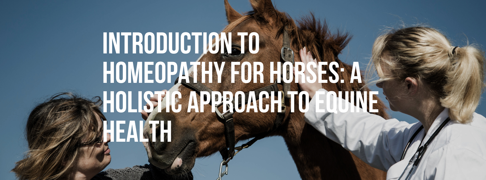 Introduction to Homeopathy for Horses: A Holistic Approach to Equine Health