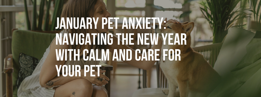 January Pet Anxiety: Navigating the New Year with Calm and Care for Your Pet
