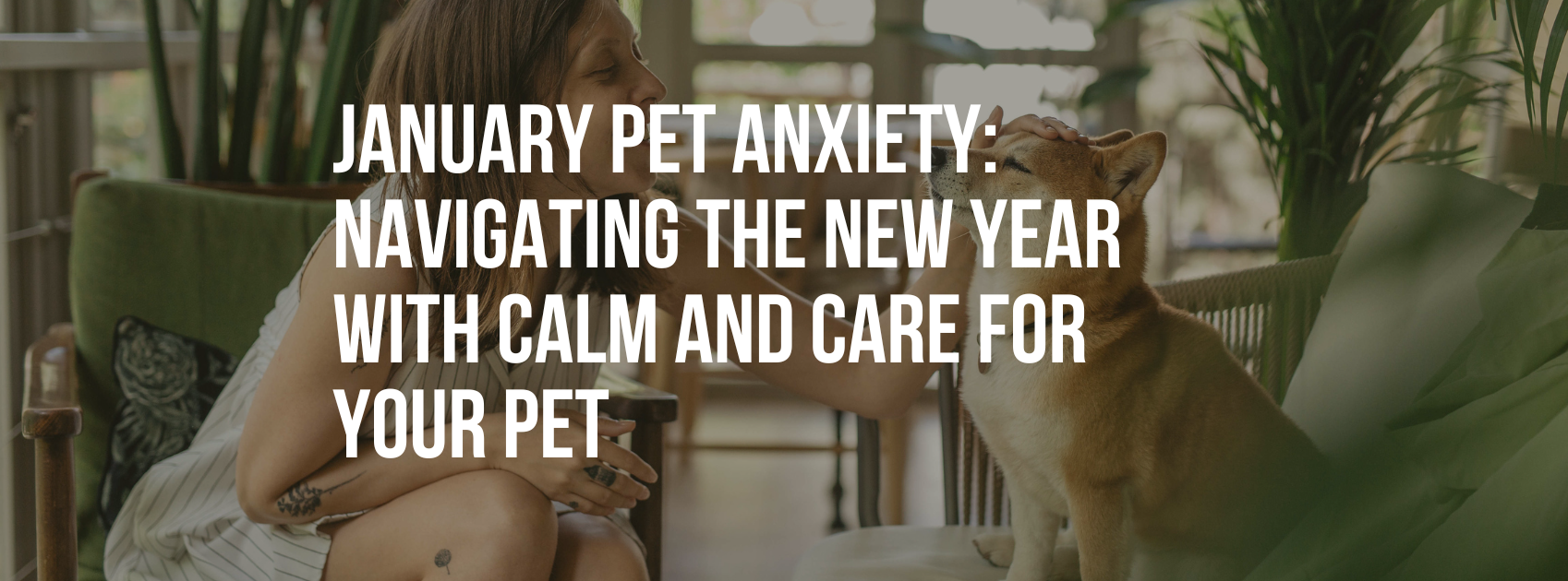 January Pet Anxiety: Navigating the New Year with Calm and Care for Your Pet