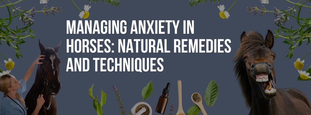 Managing Anxiety in Horses: Natural Remedies and Techniques