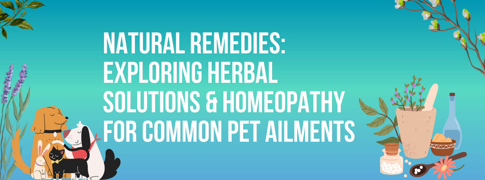 Natural Remedies: Exploring Herbal Solutions & Homeopathy for Common Pet Ailments