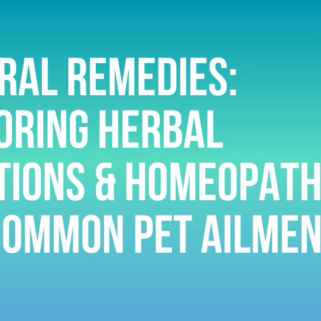 Natural Remedies: Exploring Herbal Solutions & Homeopathy for Common Pet Ailments