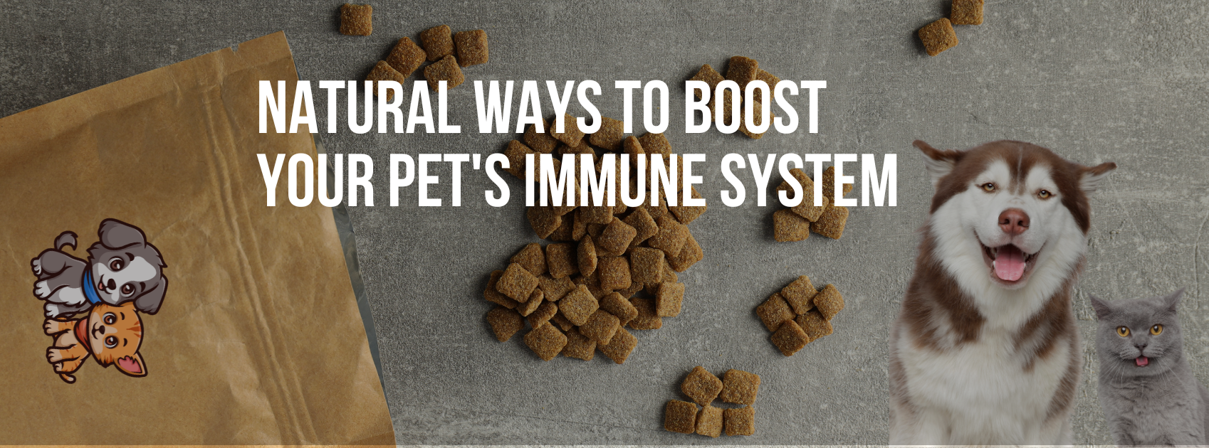 Natural Ways to Boost Your Pet's Immune System