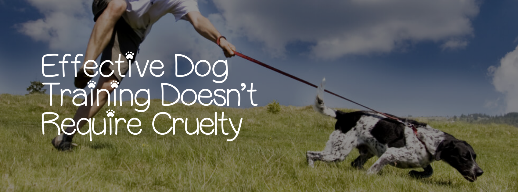 EFFECTIVE DOG TRAINING DOESN’T REQUIRE CRUELTY