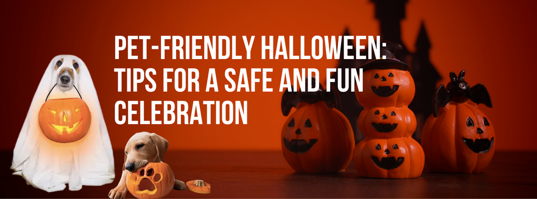 Pet-friendly Halloween: Tips for a safe and fun celebration