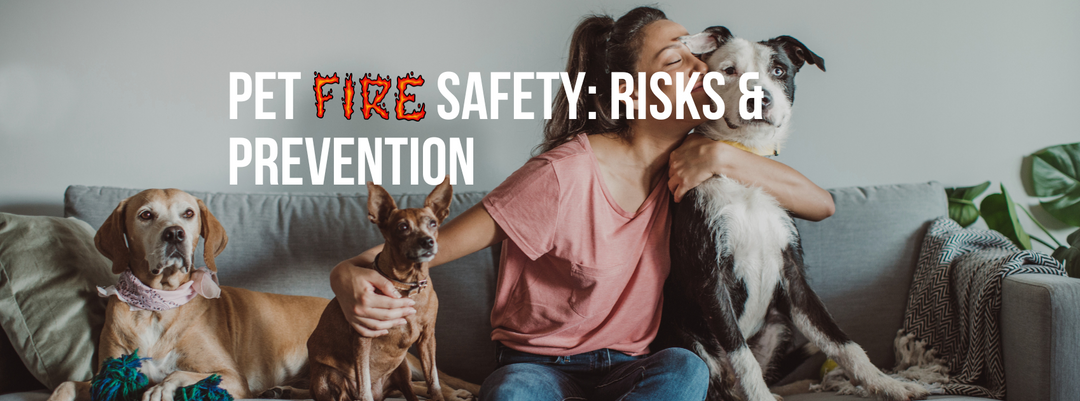 Pet Fire Safety: Risks & Prevention