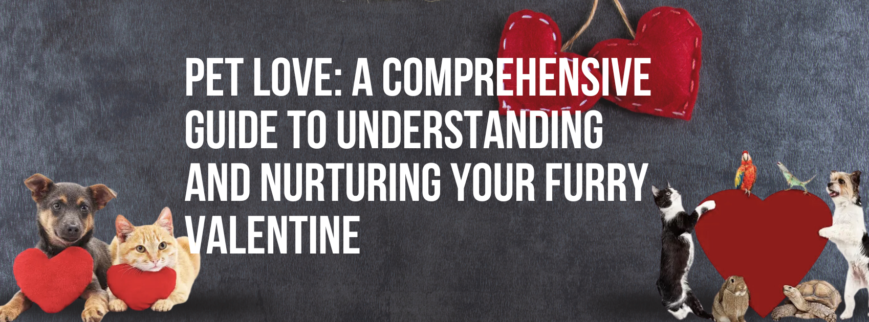 Pet Love: A Comprehensive Guide to Understanding and Nurturing Your Furry Valentine