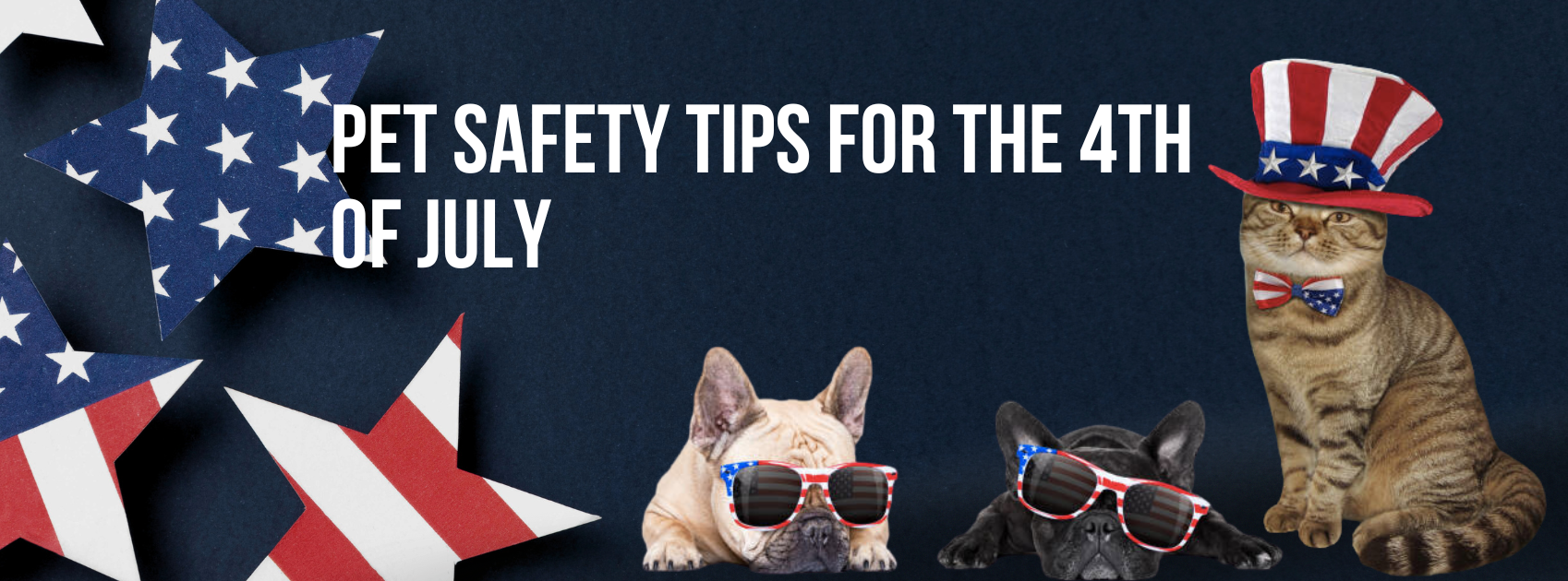 Pet Safety Tips for The 4th of July