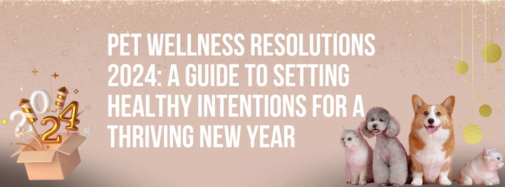 Pet Wellness Resolutions 2024: A Guide to Setting Healthy Intentions for a Thriving New Year