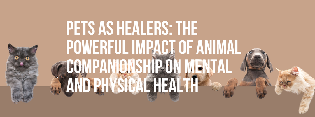 Pets as Healers: The Powerful Impact of Animal Companionship on Mental and Physical Health