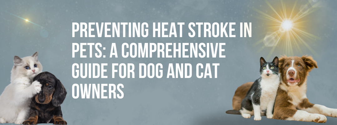 Preventing Heat Stroke in Pets: A Comprehensive Guide for Dog and Cat Owners