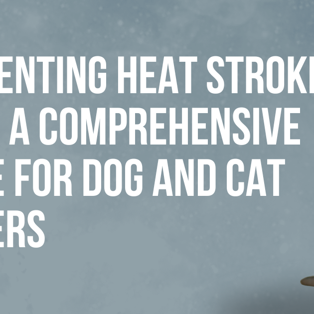 Preventing Heat Stroke in Pets: A Comprehensive Guide for Dog and Cat Owners