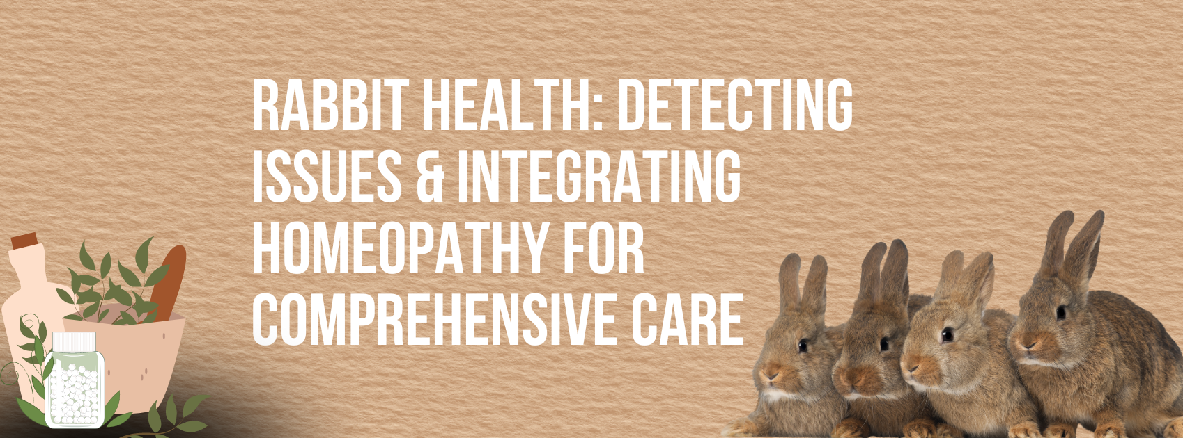 Rabbit Health: Detecting Issues & Integrating Homeopathy for Comprehensive Care