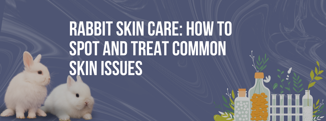 Rabbit Skin Care: How to Spot and Treat Common Skin Issues