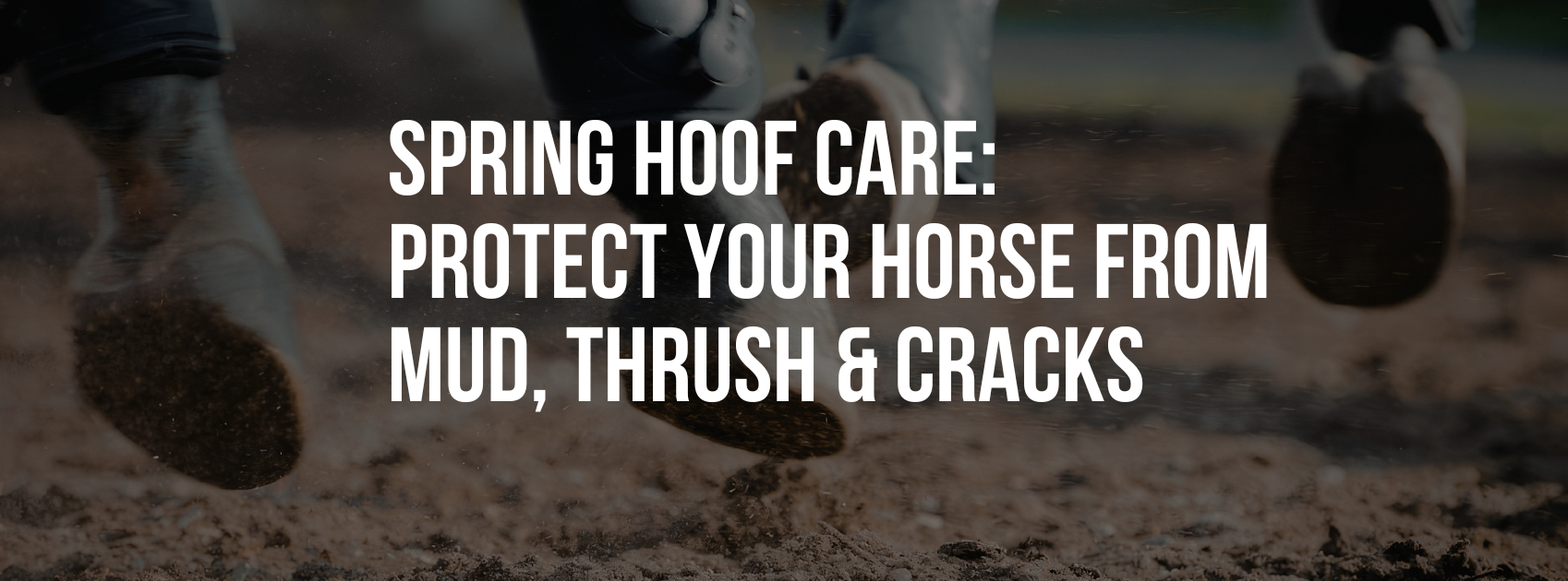 Spring Hoof Care: Protect Your Horse from Mud, Thrush & Cracks