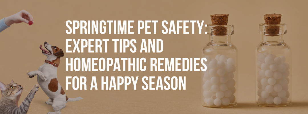Springtime Pet Safety: Expert Tips and Homeopathic Remedies for a Happy Season