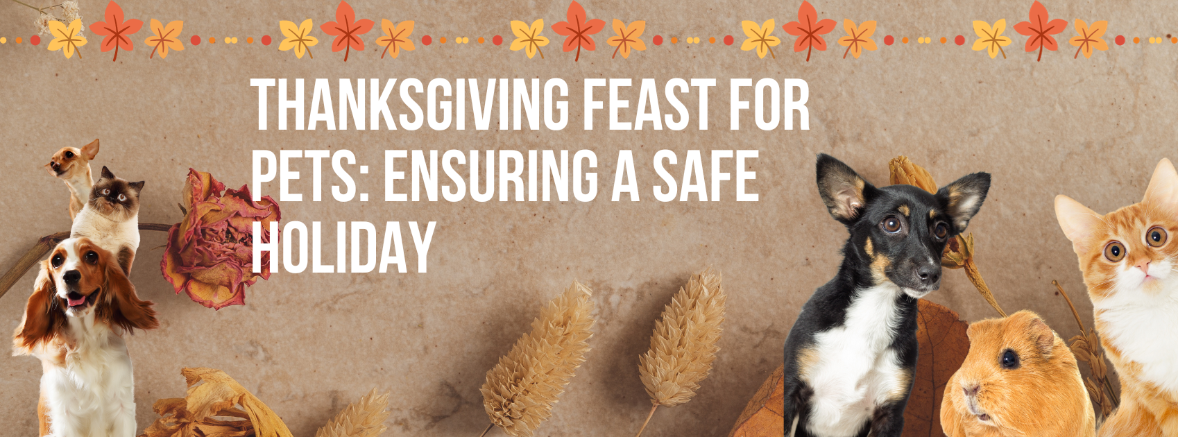 Thanksgiving feast for pets: Ensuring a safe holiday